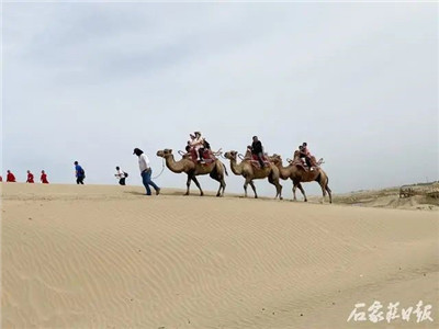 石家庄—库尔勒开启首条援疆旅游线路图3