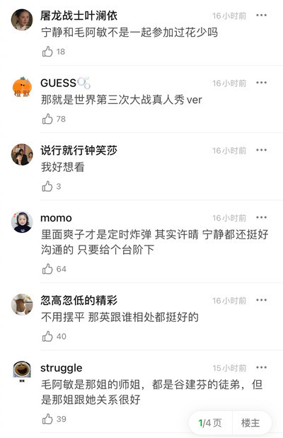 宁静➕那英➕许晴➕毛阿敏 这是我能看的综艺吗？图3