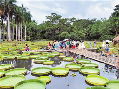 云南：老景区添新魅力 旅游业加快复苏图2