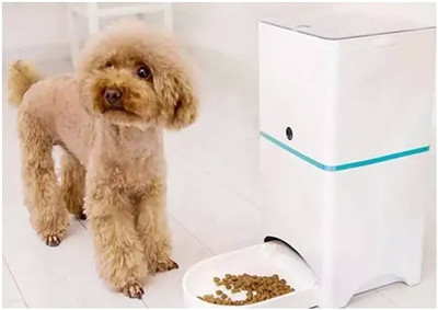 从自动饮水机到自动猫砂盆，宠物智能产品的未来何去何从？