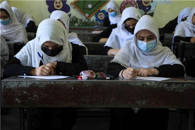 越来越多阿富汗女性通过上网课接受教育