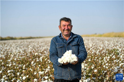 新疆继续实施棉花目标价格政策