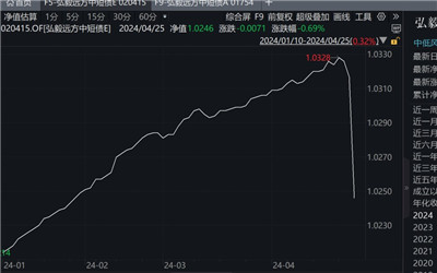 这只中短债基金单日净值大跌，发生了什么？基金经理火速道歉图1