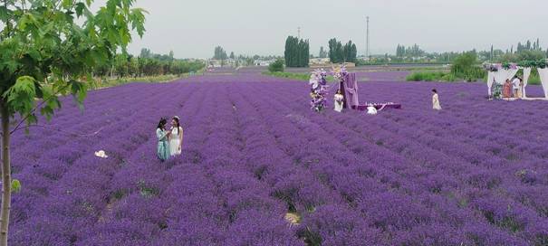clip_image010.jpg